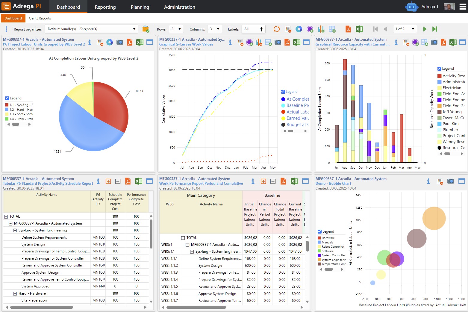 Dashboard P6 Reporting